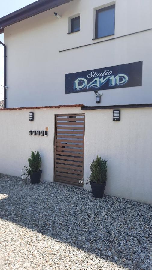 *Studio David* Sibiu Exterior photo